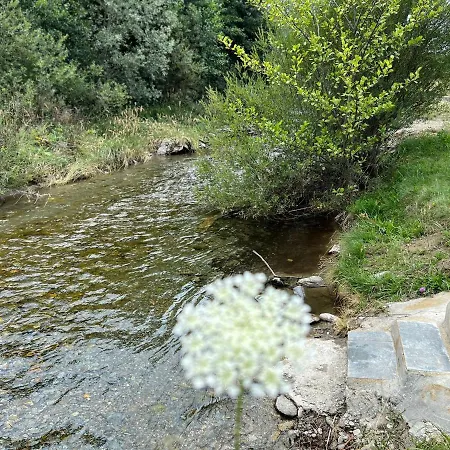 Campsite Linistea Muntilor Cartioasra Cartisoara